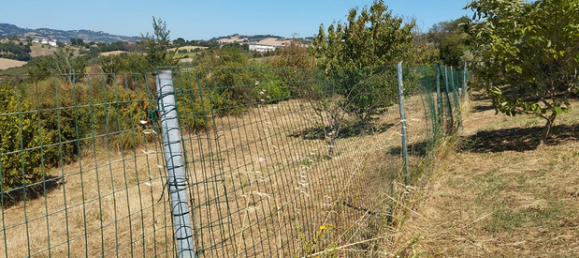 Terrain à Polverigi, Italy 5500m² No. 258375 3