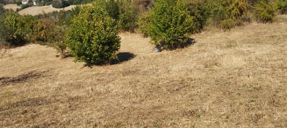 Terrain à Polverigi, Italy 5500m² No. 258375 4