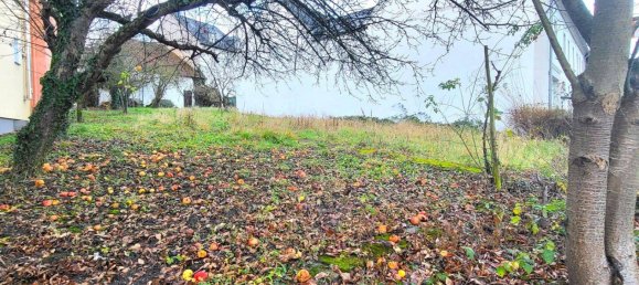 Grundstück in Trier-Saarburg, Germany, Nr. 291612 4