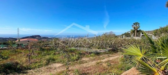 4 Schlafzimmer Haus in San Miguel de Abona, Spain, Nr. 129966 46