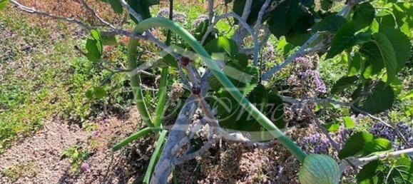 4 Schlafzimmer Haus in San Miguel de Abona, Spain, Nr. 129966 48