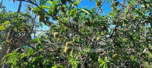 4 Schlafzimmer Haus in San Miguel de Abona, Spain, Nr. 129966 47