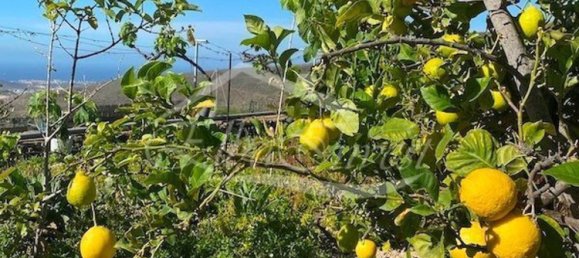 4 Schlafzimmer Haus in San Miguel de Abona, Spain, Nr. 129966 50