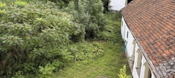 4 rooms House in Hannersdorf, Austria No. 206543 12