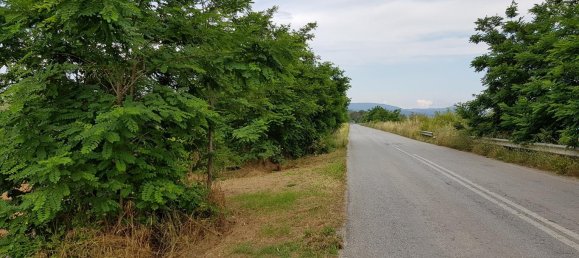 Propriété commerciale à Chalkidiki, Greece 343m² No. 4714 9