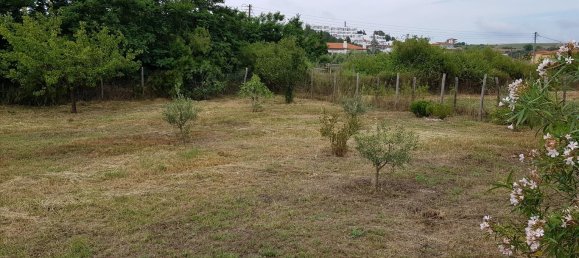 Propriété commerciale à Chalkidiki, Greece 343m² No. 4714 18