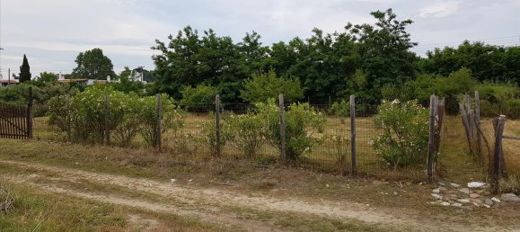 Propriété commerciale à Chalkidiki, Greece 343m² No. 4714 19