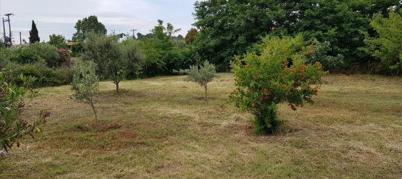 Propriété commerciale à Chalkidiki, Greece 343m² No. 4714 17