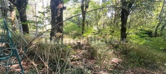 2 bedrooms Apartment in Vaglia, Italy No. 271466 9