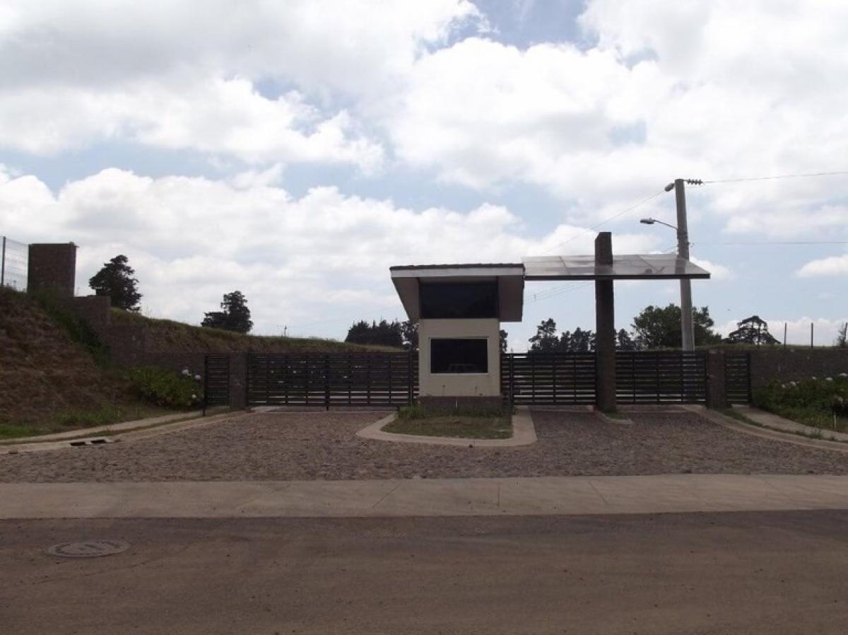 Terrain à Alajuela, Costa Rica No. 1732