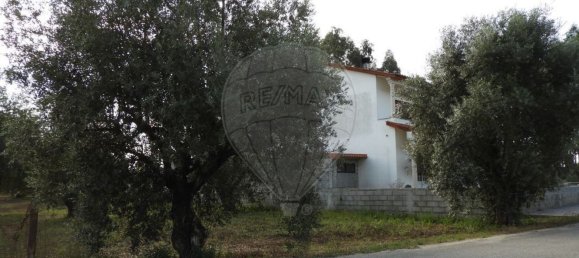 1245m² Land in Pombal, Portugal No. 77421 3