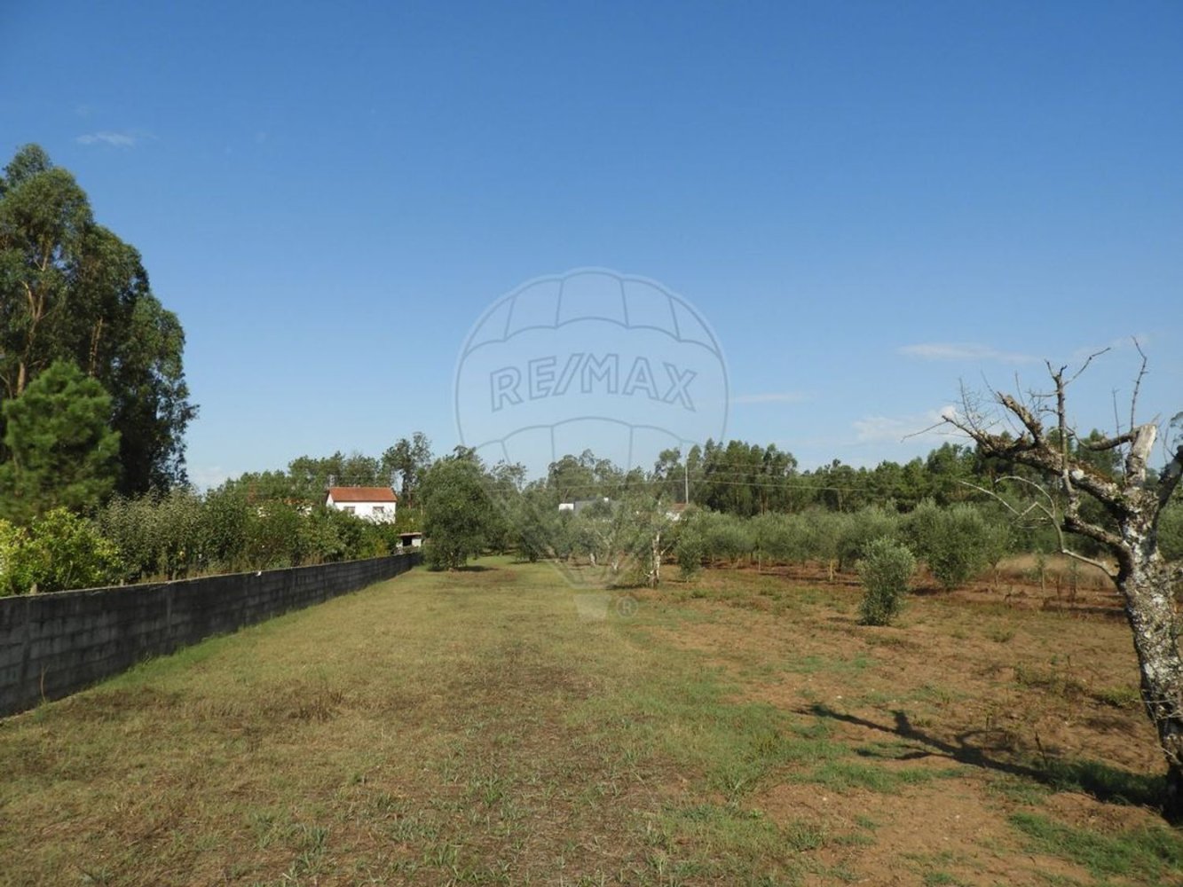 1245m² Land in Pombal, Portugal No. 77421