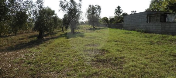 1245m² Land in Pombal, Portugal No. 77421 8