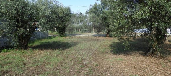 1245m² Land in Pombal, Portugal No. 77421 7