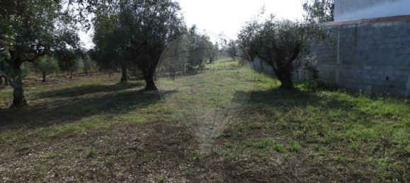 1245m² Land in Pombal, Portugal No. 77421 6