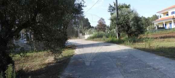 1245m² Land in Pombal, Portugal No. 77421 5