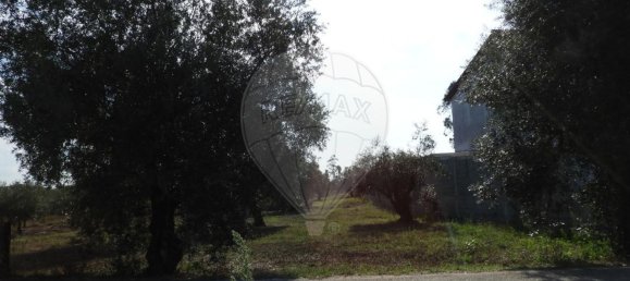 1245m² Land in Pombal, Portugal No. 77421 4