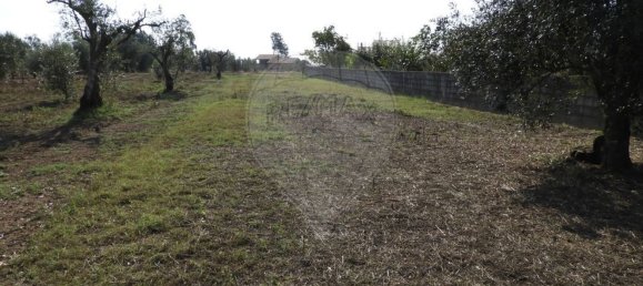 1245m² Land in Pombal, Portugal No. 77421 9