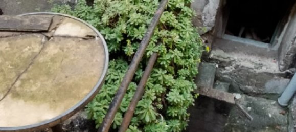 Дом с 4 спальнями в Мезон-Лаффит, Франция № 174591 6