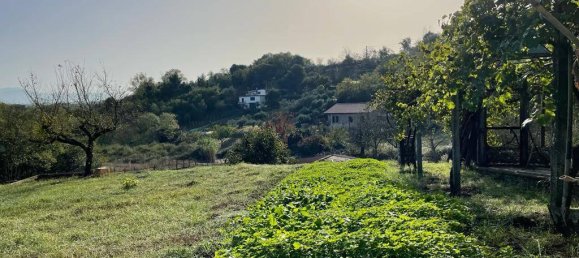 2 rooms Apartment in Segni, Italy No. 134813 3