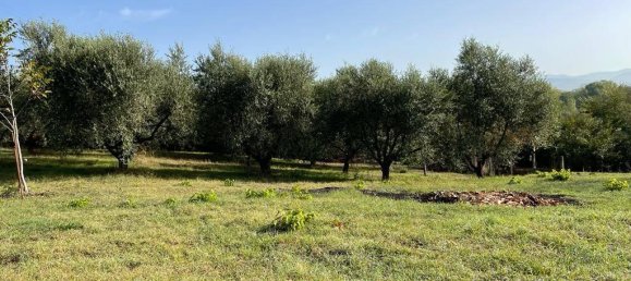 2 rooms Apartment in Segni, Italy No. 134813 12