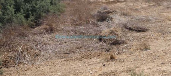  Land in Paralimni, Cyprus No. 24120 3