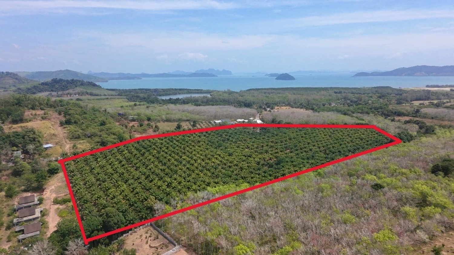 83200m² Land in Phuket, Thailand No. 82973