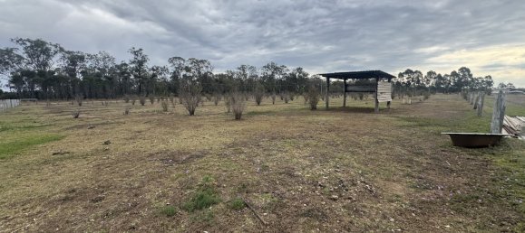 3 bedrooms Farm in Durong, Australia No. 149 23