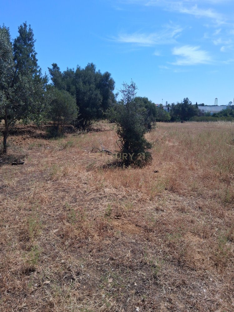 2170m² Land in Loule, Portugal No. 230236