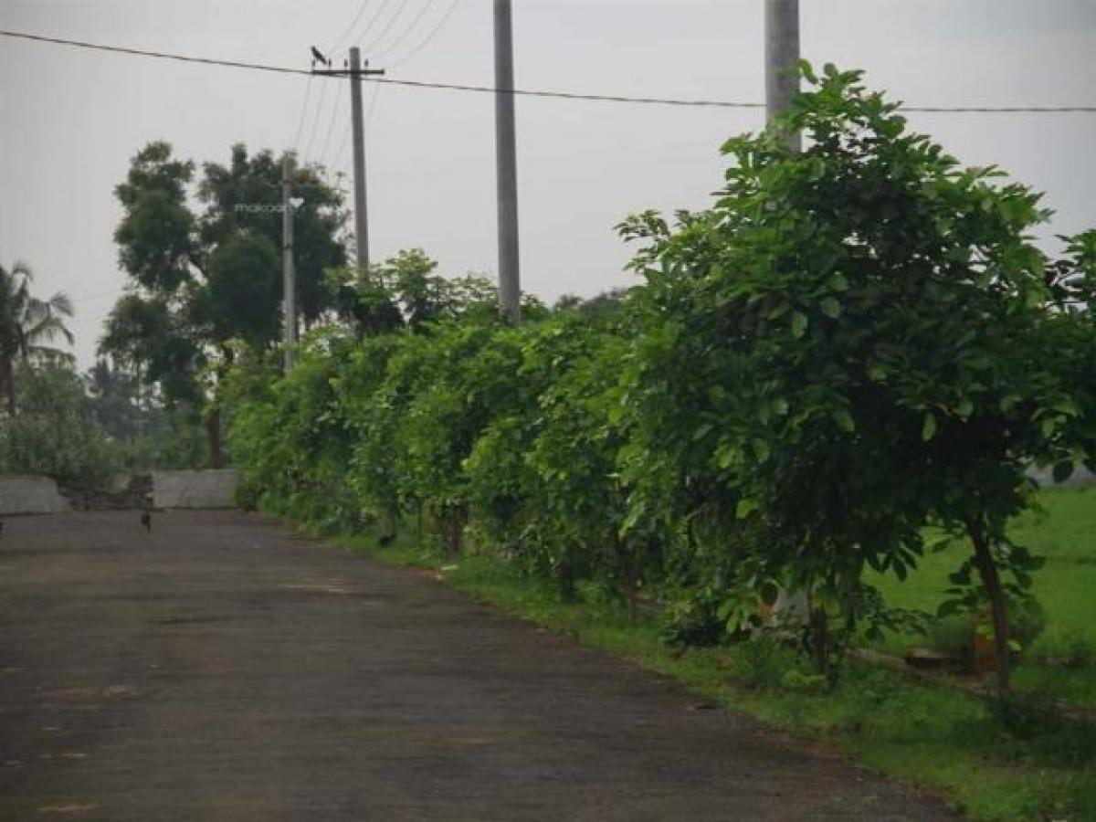  Land in Visakhapatnam, India No. 41164