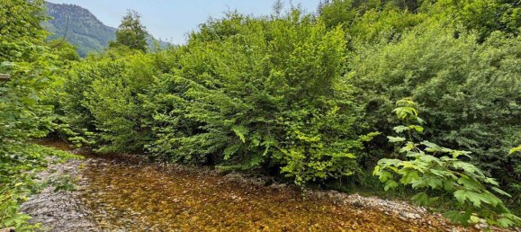 3 rooms Apartment in Grodig, Austria No. 256760 5