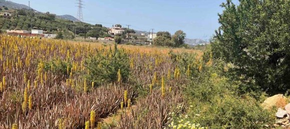 7000m² Hotel in Heraklion, Greece No. 3537 6