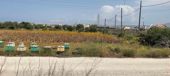 7000m² Hotel in Heraklion, Greece No. 3537 3