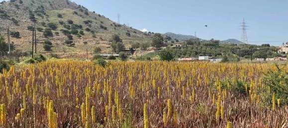 7000m² Hotel in Heraklion, Greece No. 3537 5