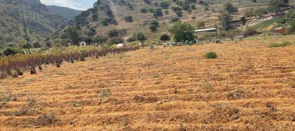 7000m² Hotel in Heraklion, Greece No. 3537 2