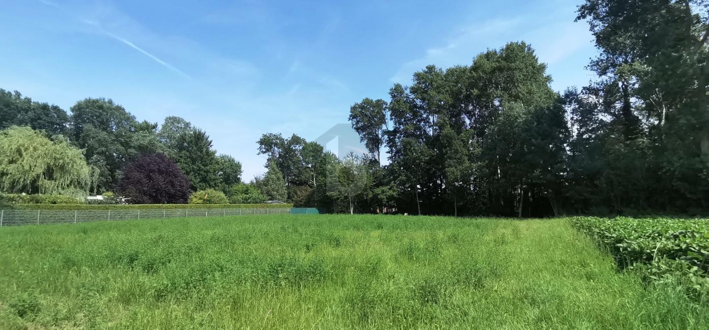  Land in Ebenfurth, Austria No. 259916