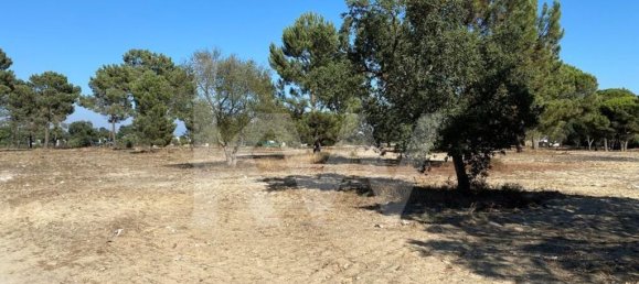 قطعة أرض في Moita, Portugal 47160متر مربع رقم 71610 5