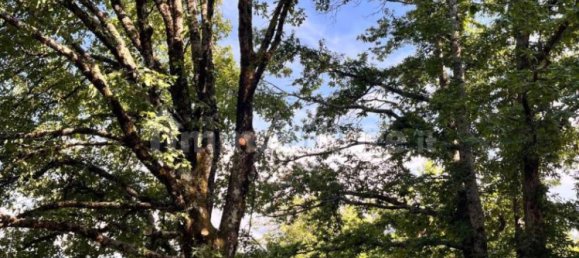 2 bedrooms Apartment in Ventasso, Italy No. 287367 4