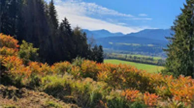 Земельный участок в Ферндорф, Австрия № 44108