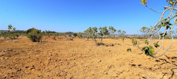 20200m² Land in Silves, Portugal No. 61233 5