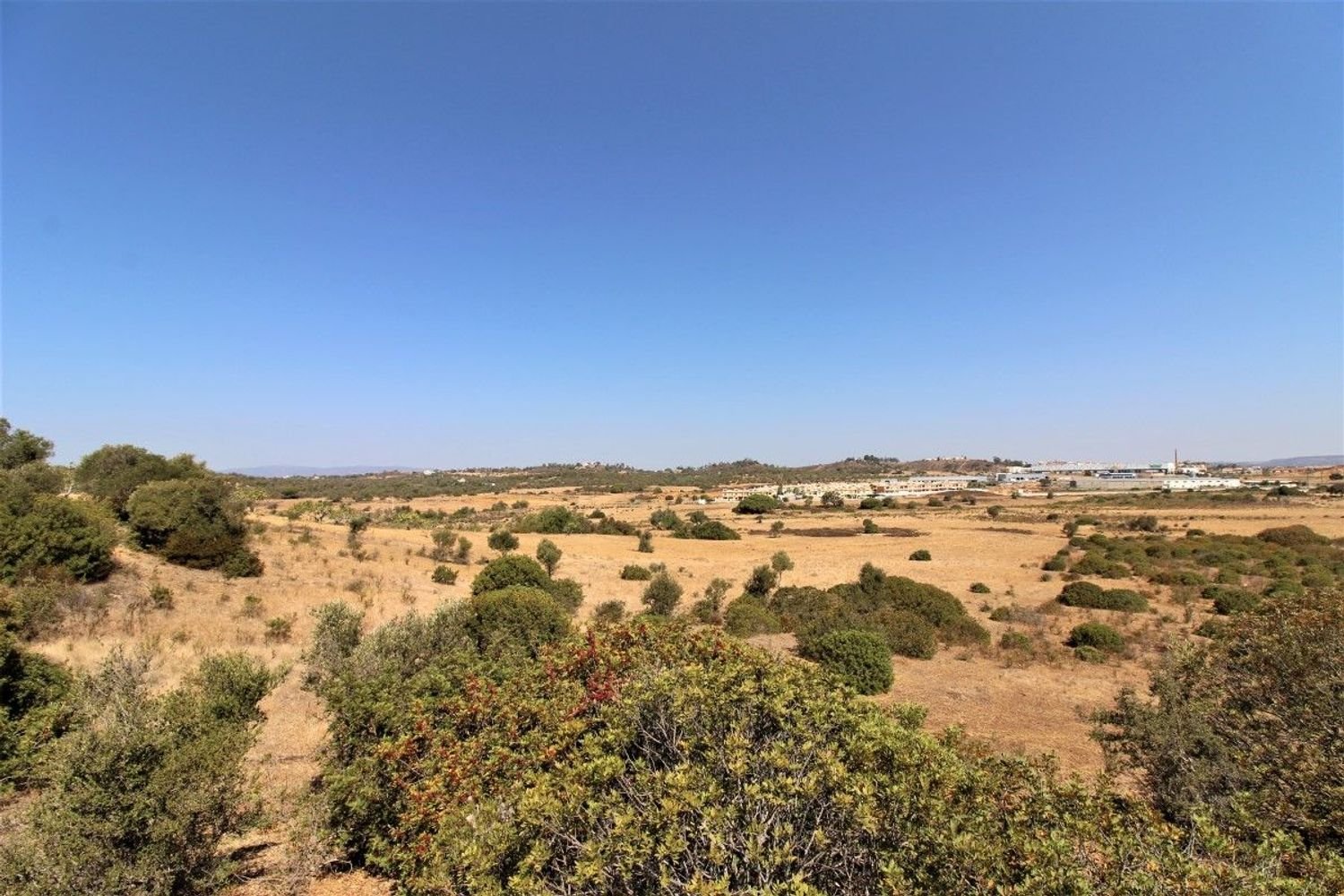 20200m² Land in Silves, Portugal No. 61233