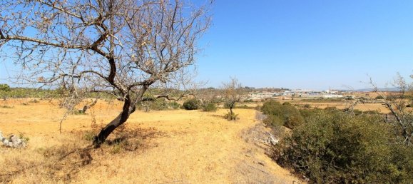 20200m² Land in Silves, Portugal No. 61233 6