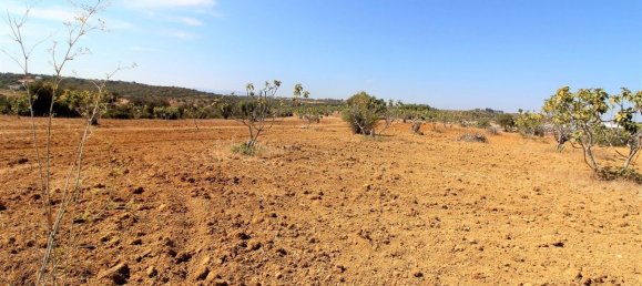 20200m² Land in Silves, Portugal No. 61233 4