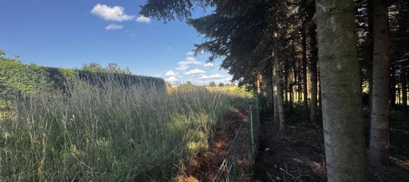 3 غرف نوم منزل في Hochwolkersdorf, Austria رقم 254061 26