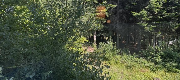 3 غرف نوم منزل في Hochwolkersdorf, Austria رقم 254061 21