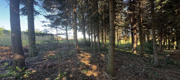 3 غرف نوم منزل في Hochwolkersdorf, Austria رقم 254061 5