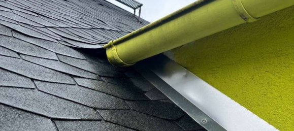 4 chambres Maison de ville à Vogtlandkreis, Germany No. 54506 43