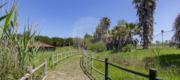 5 bedrooms House in Aveiras de Cima, Portugal No. 21466 44