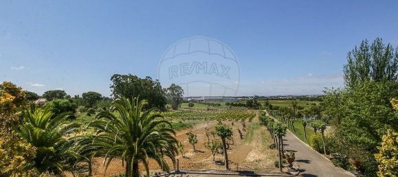 5 bedrooms House in Aveiras de Cima, Portugal No. 21466 42