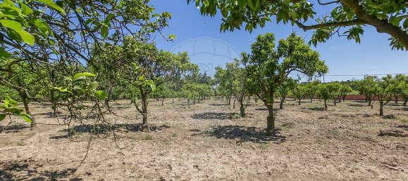 5 bedrooms House in Aveiras de Cima, Portugal No. 21466 46